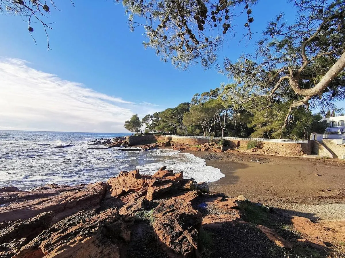 Apartment Tres Beau T2 A Cote De La Plage Saint-Raphael  France